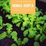 Minha Horta