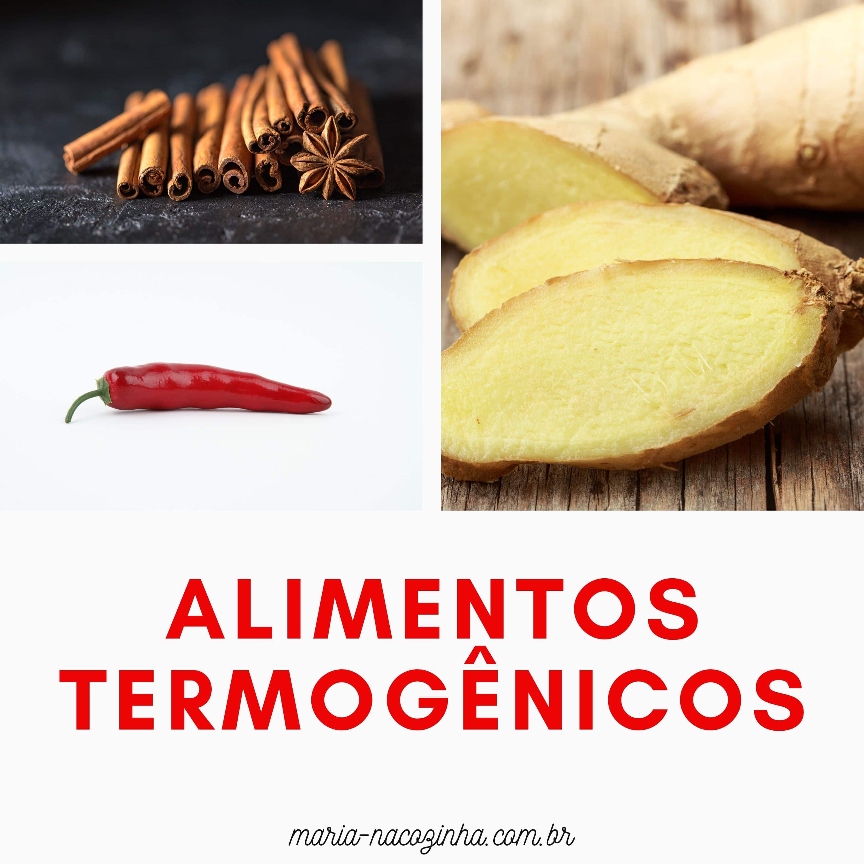 alimentos termogênicos